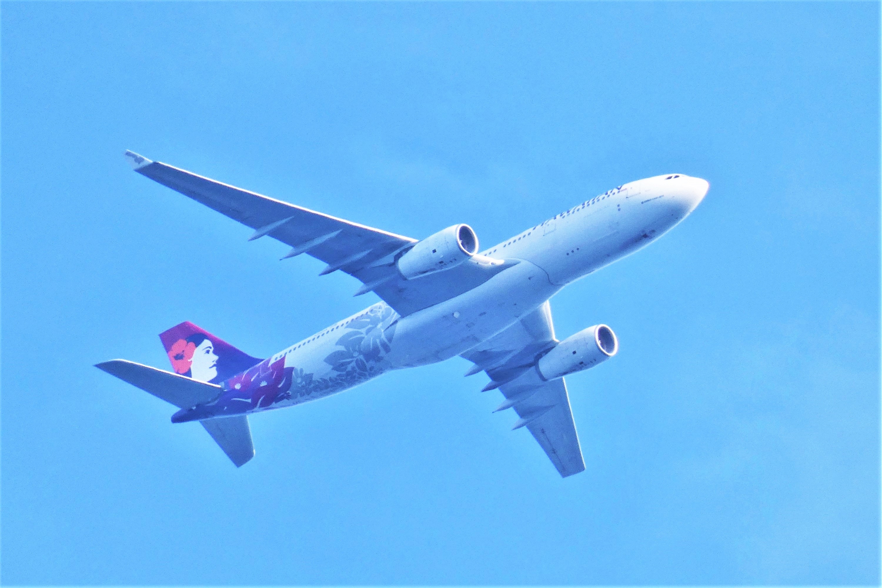 ハワイアン航空