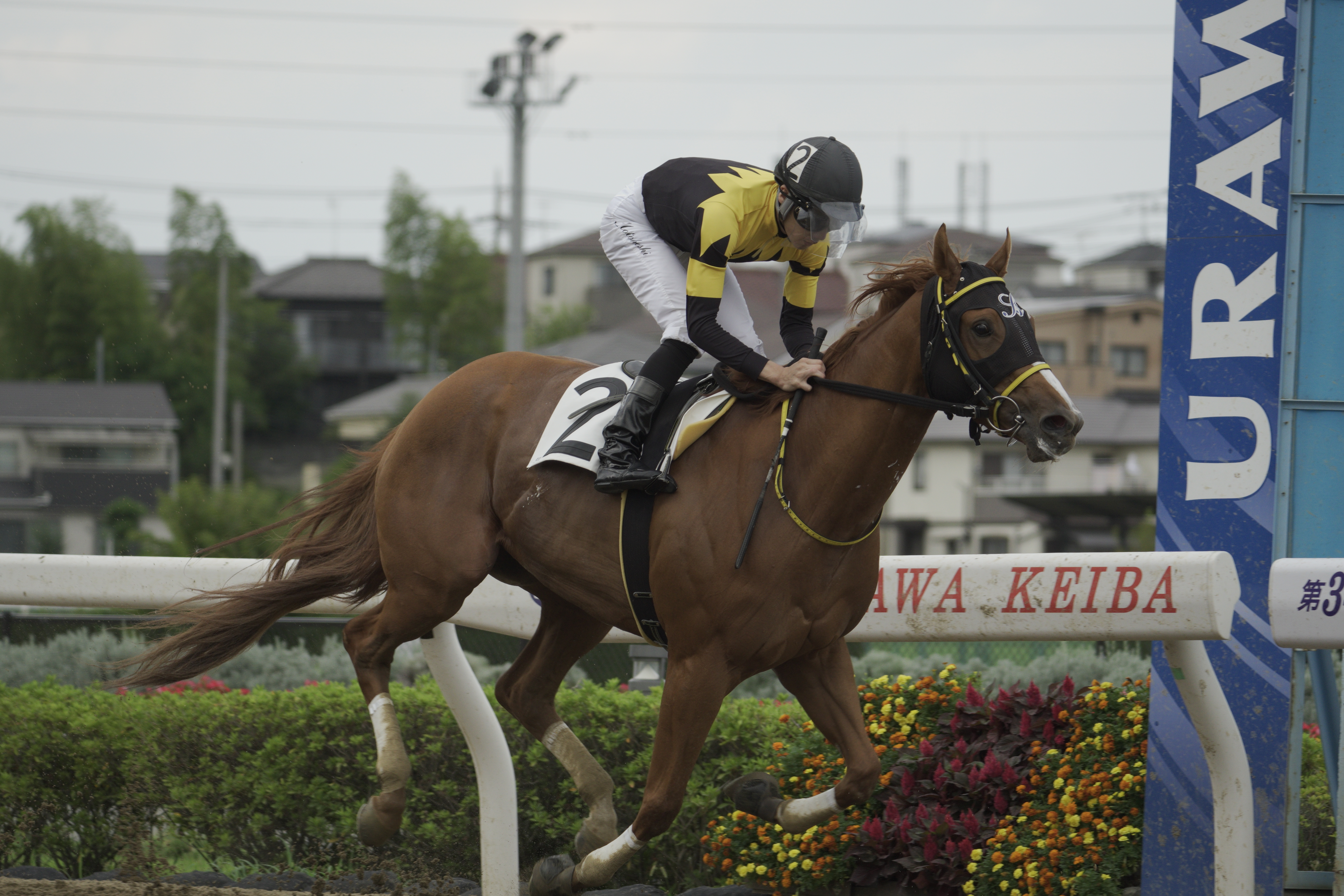 SG on the ROAD 競馬撮影講座 vol.2に参加して⑦