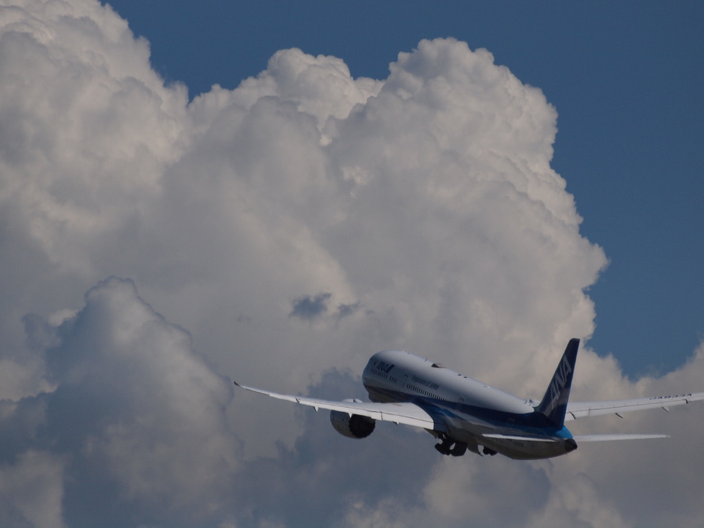 Fly To Summer