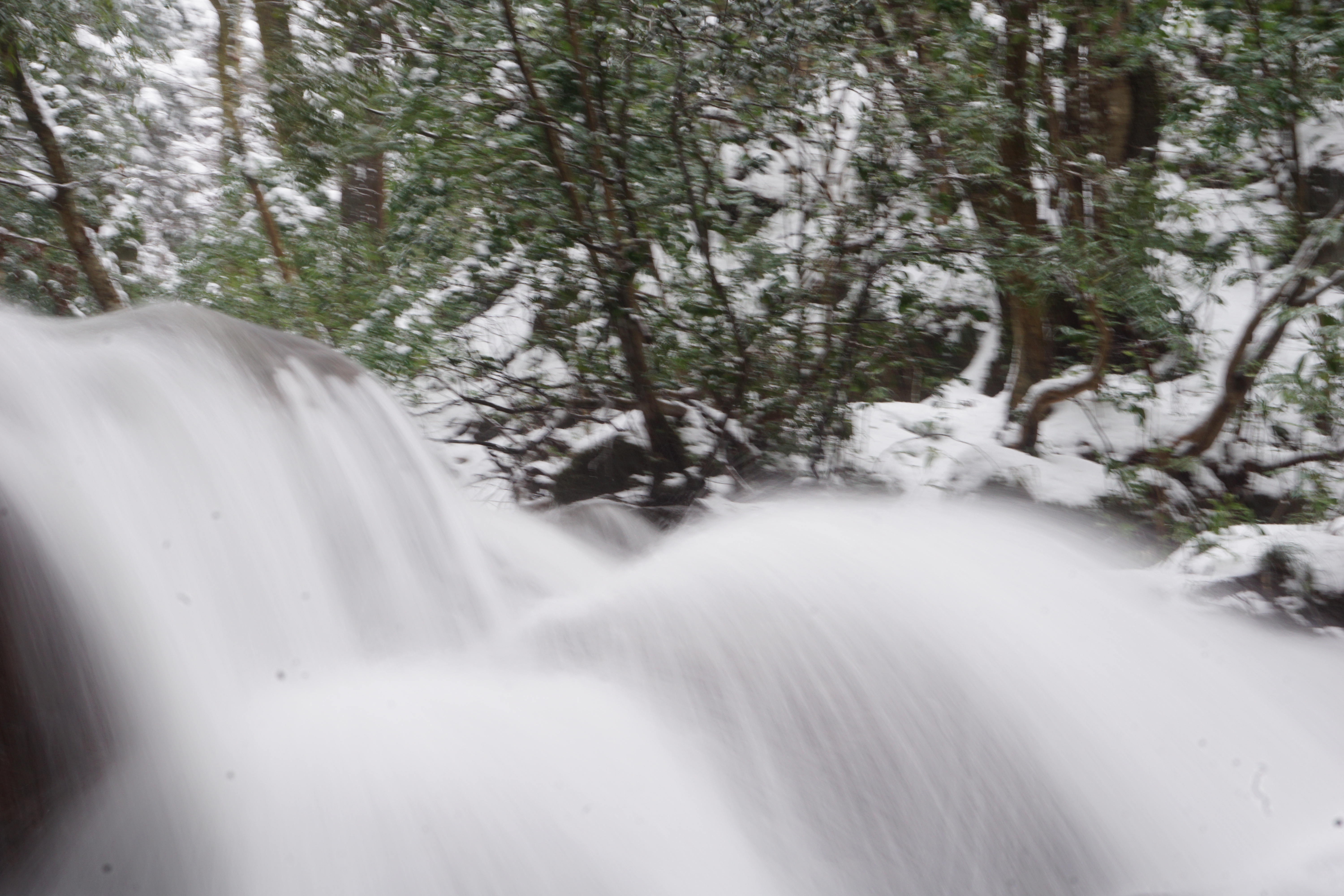 雪化粧の滝
