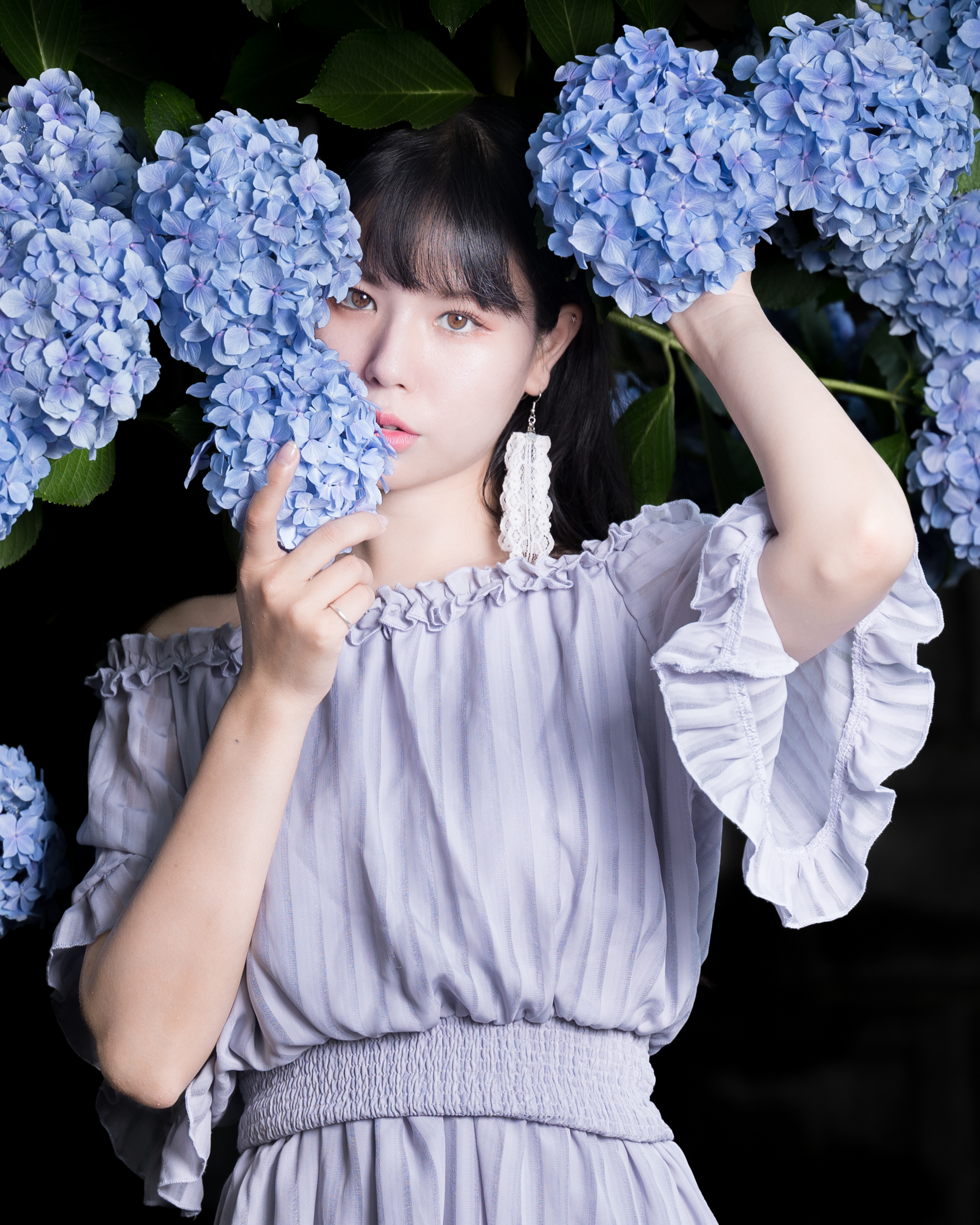 紫陽花