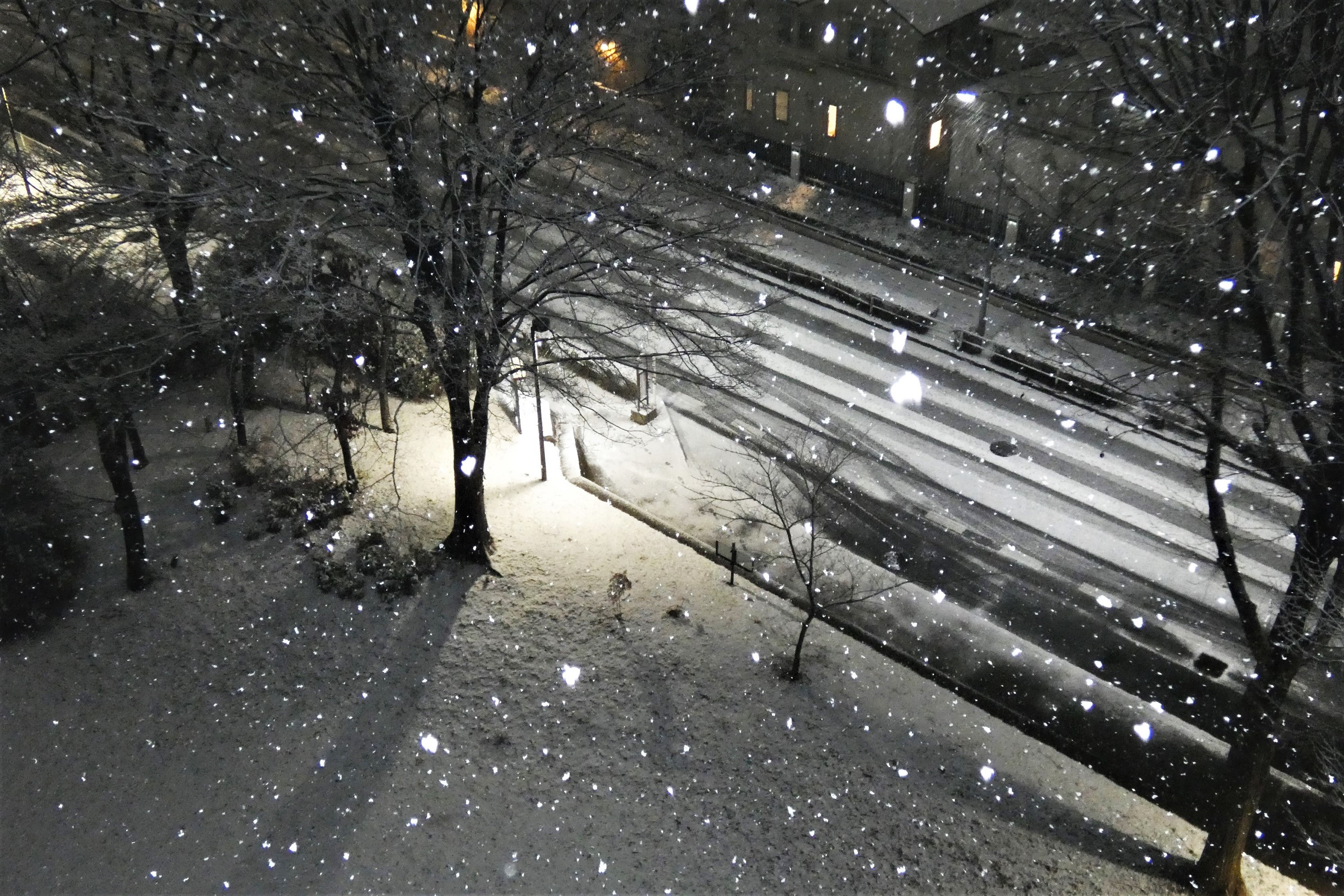 降雪中の夜景