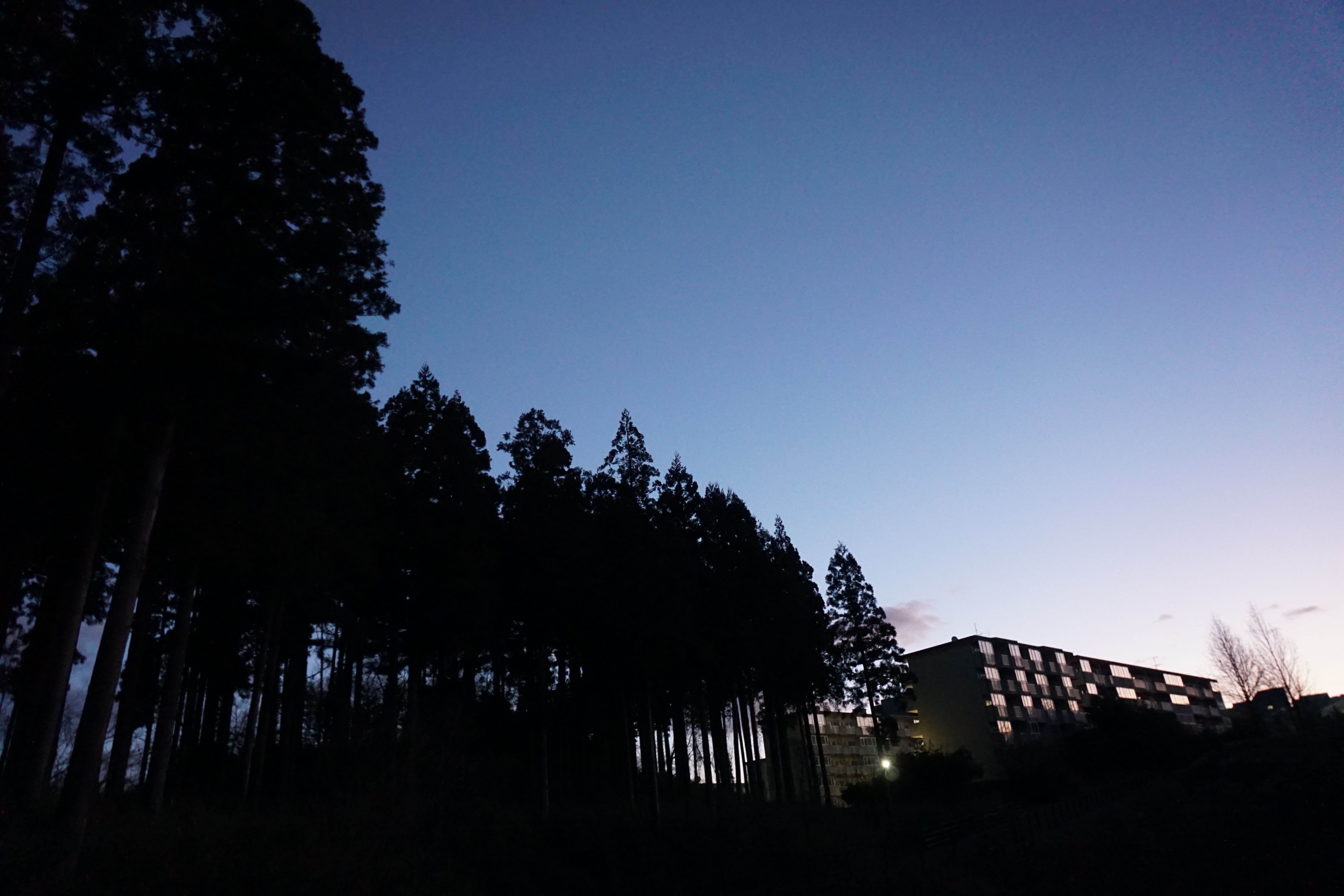 夜明け