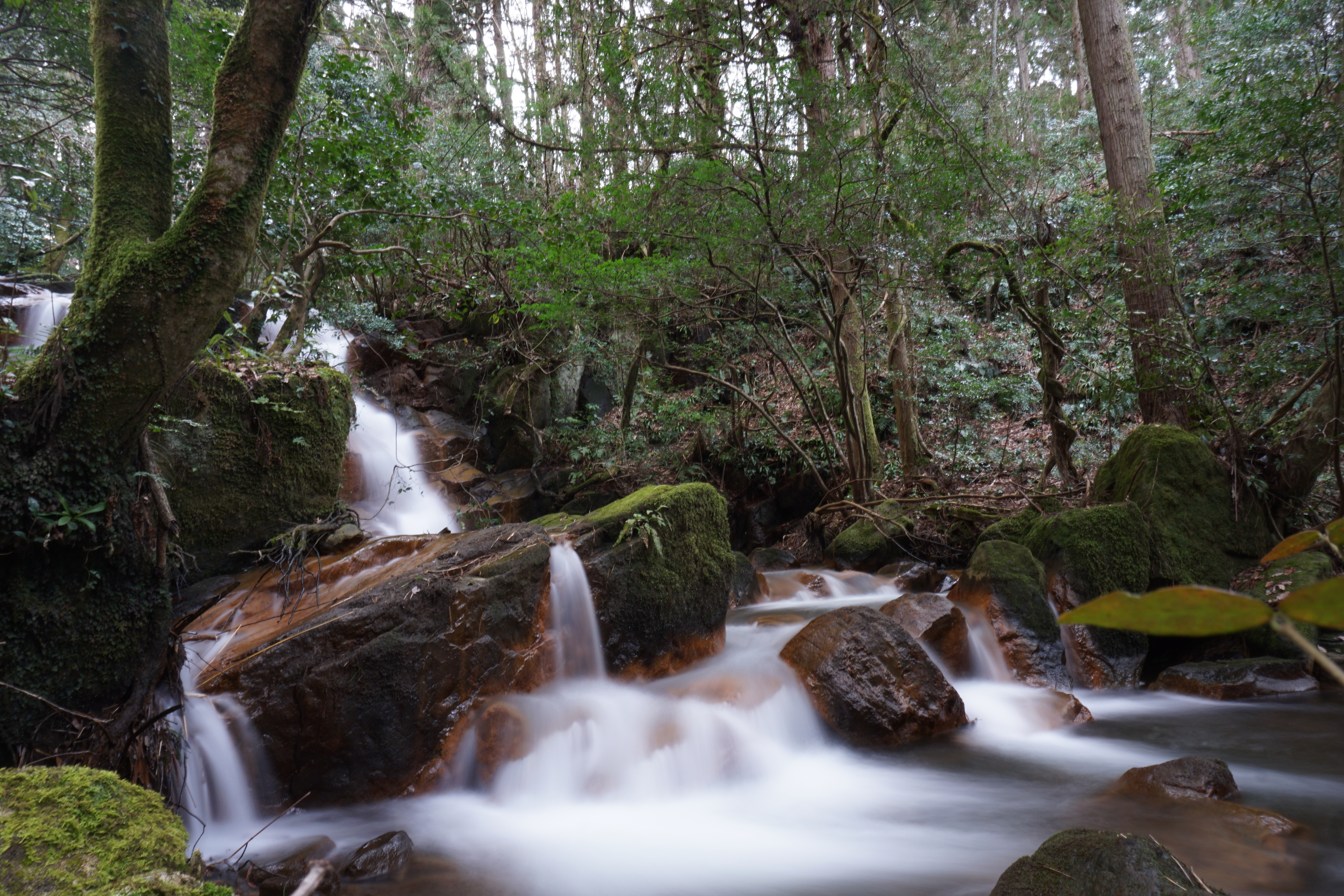 苔岩と滝