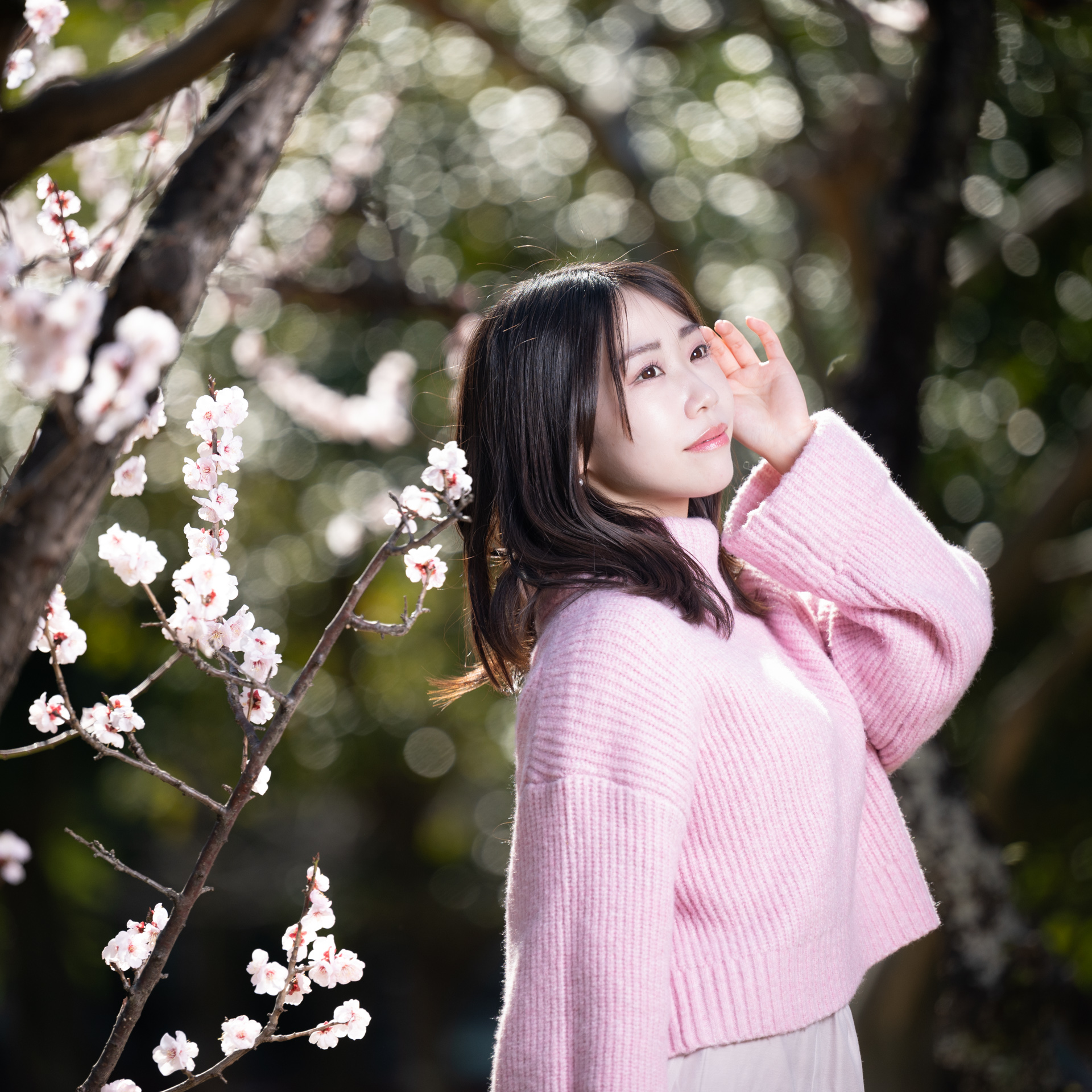 梅
