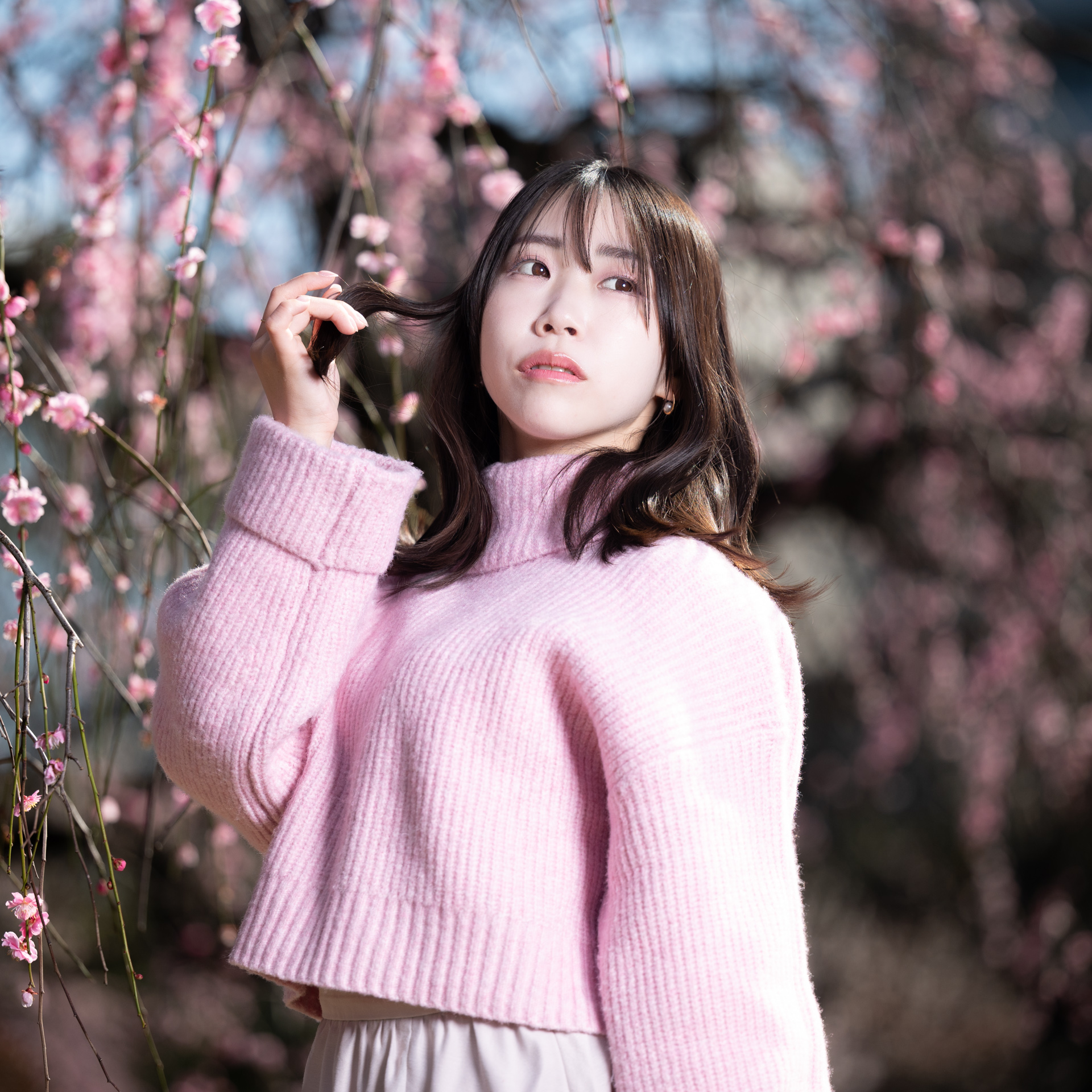 梅