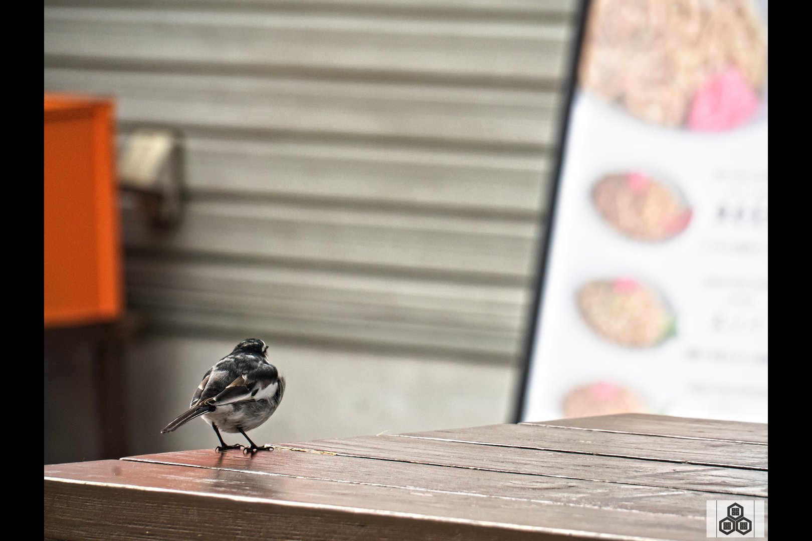 食べたいな…