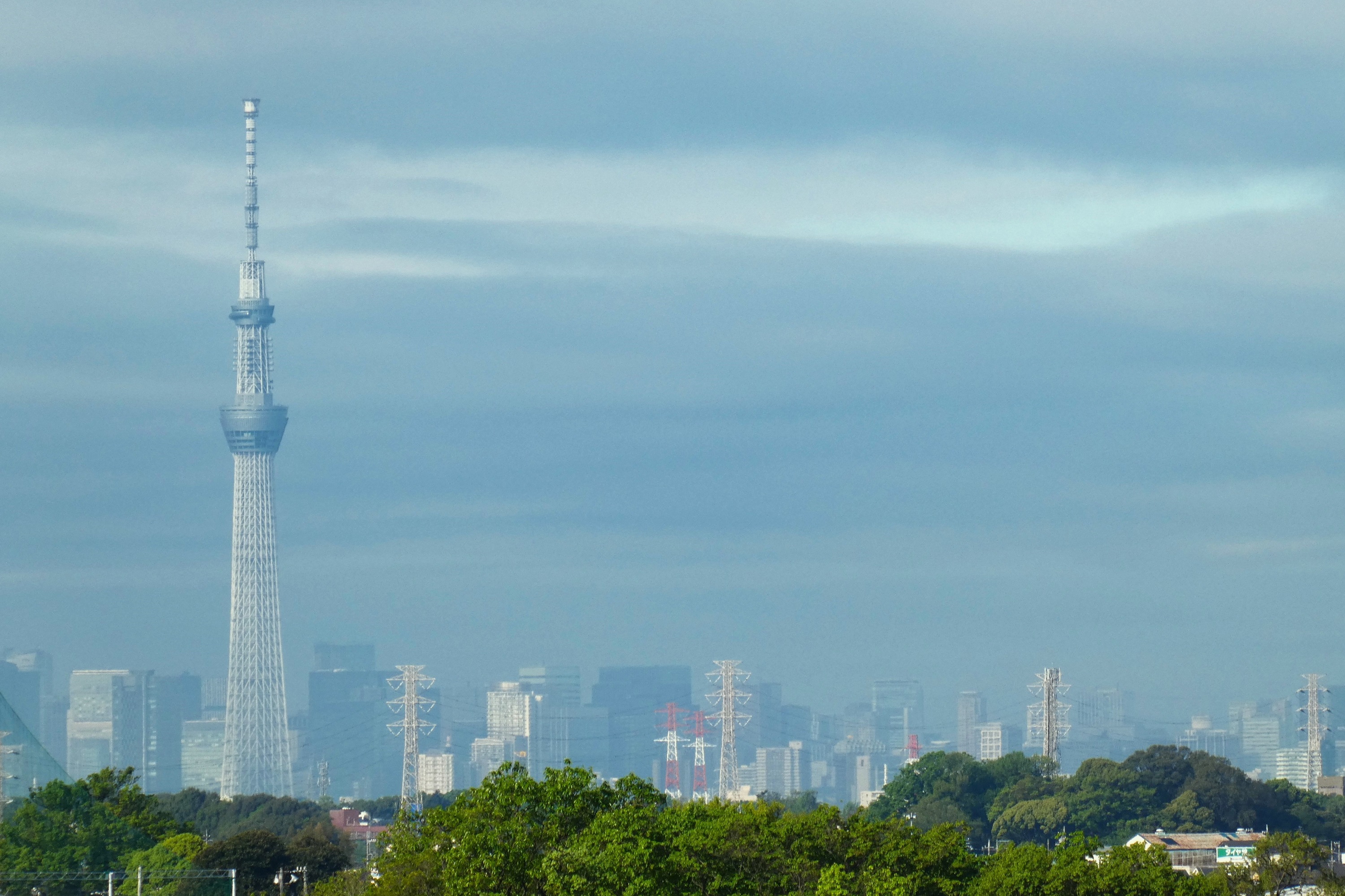 朝景色の都心