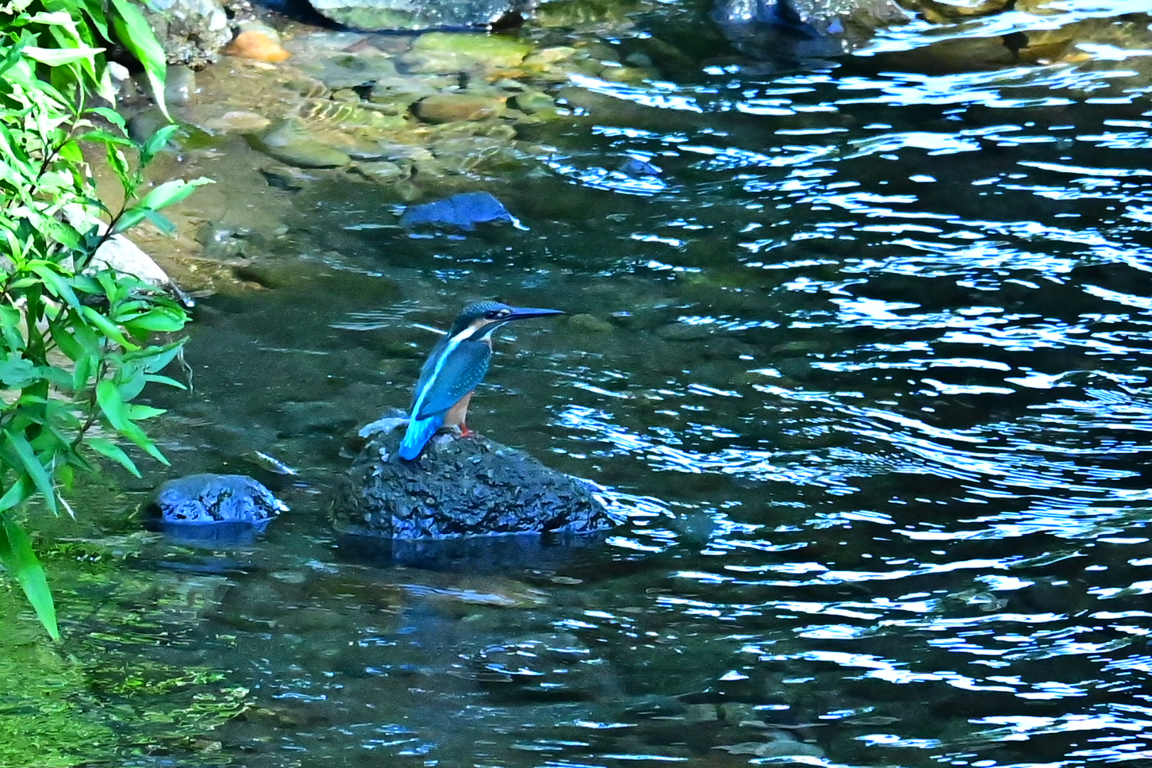 清流と翡翠
