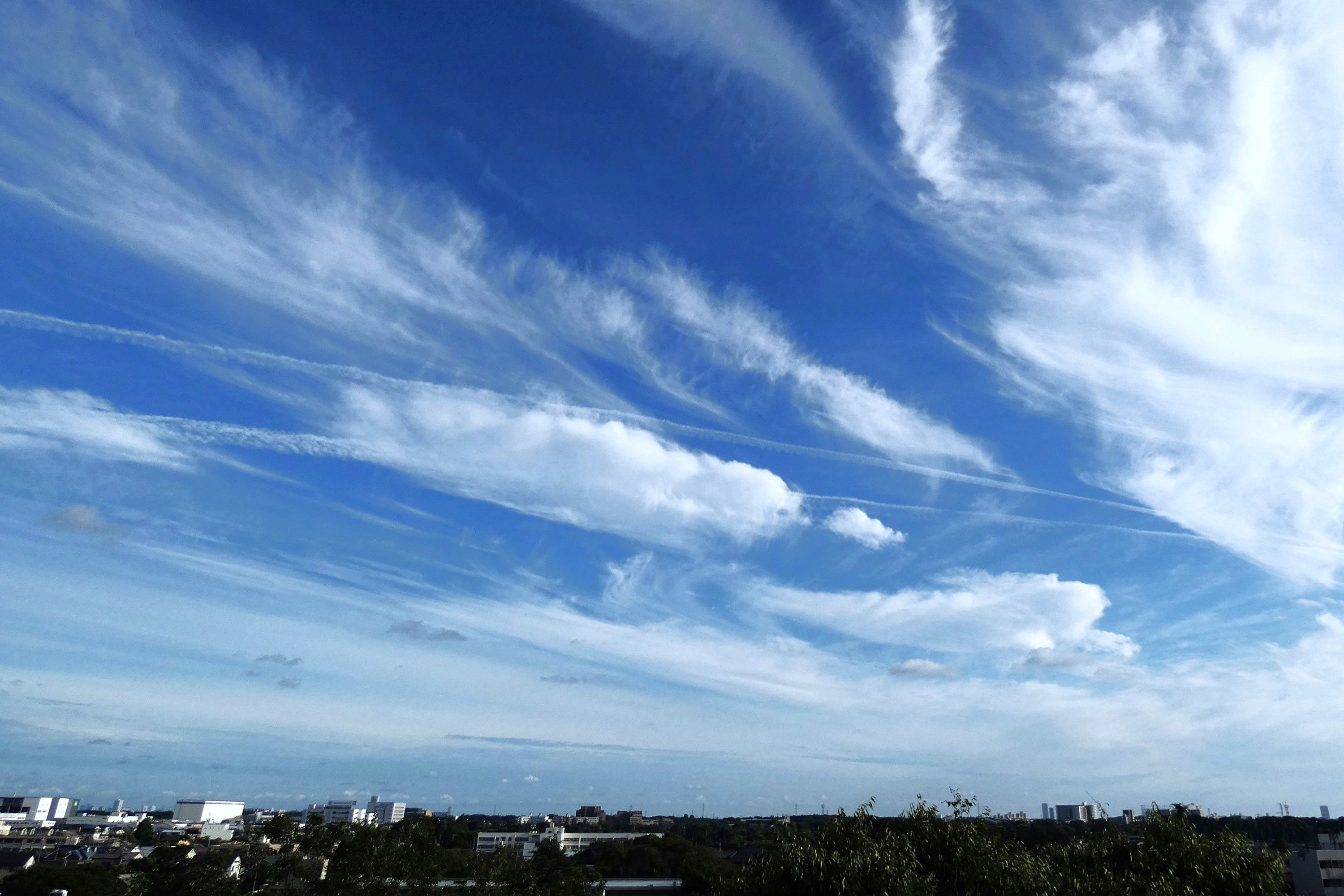 巻雲と飛行機雲