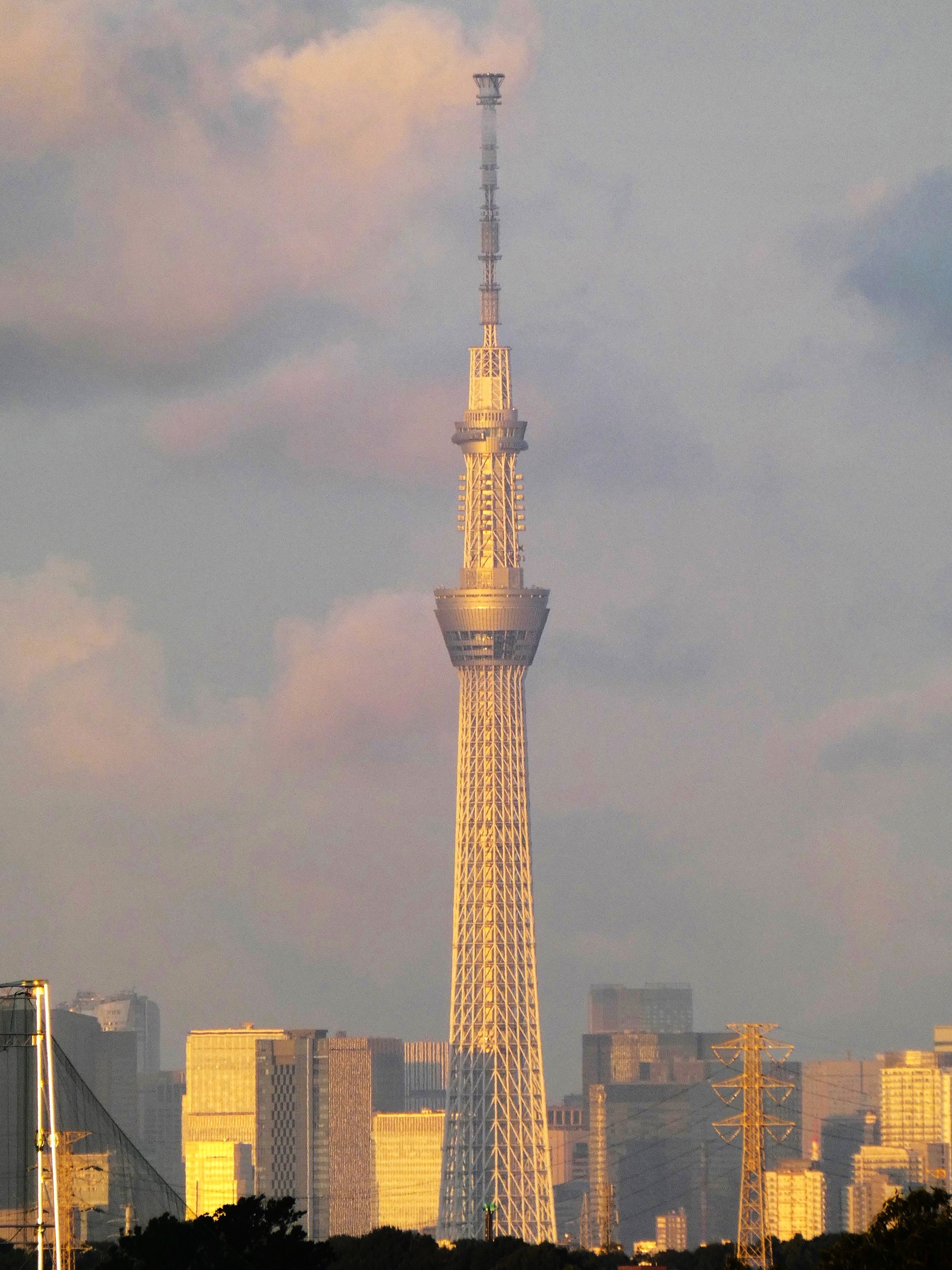 輝くスカイツリー