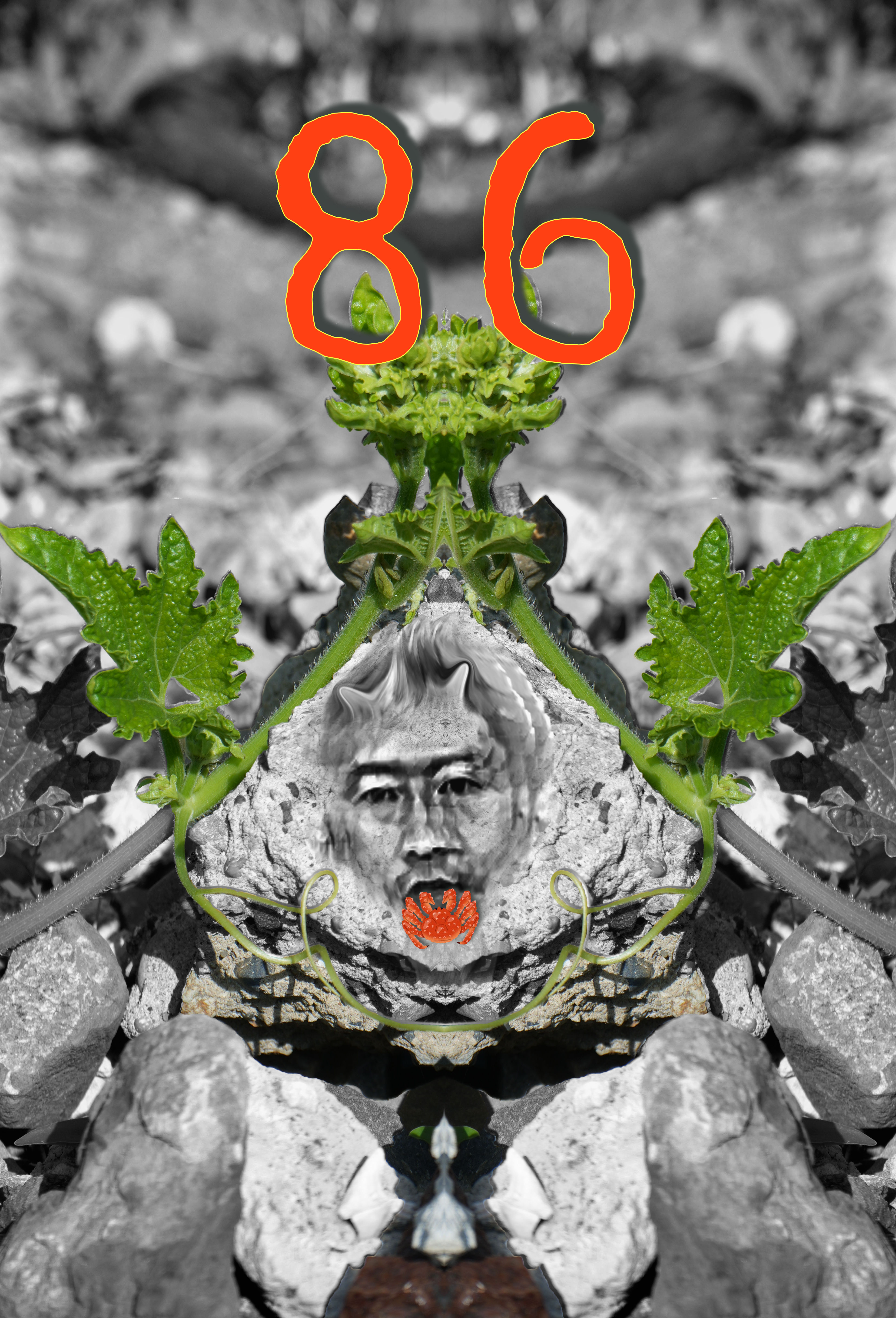 この人は・・・86:0で騒がれています+カニ