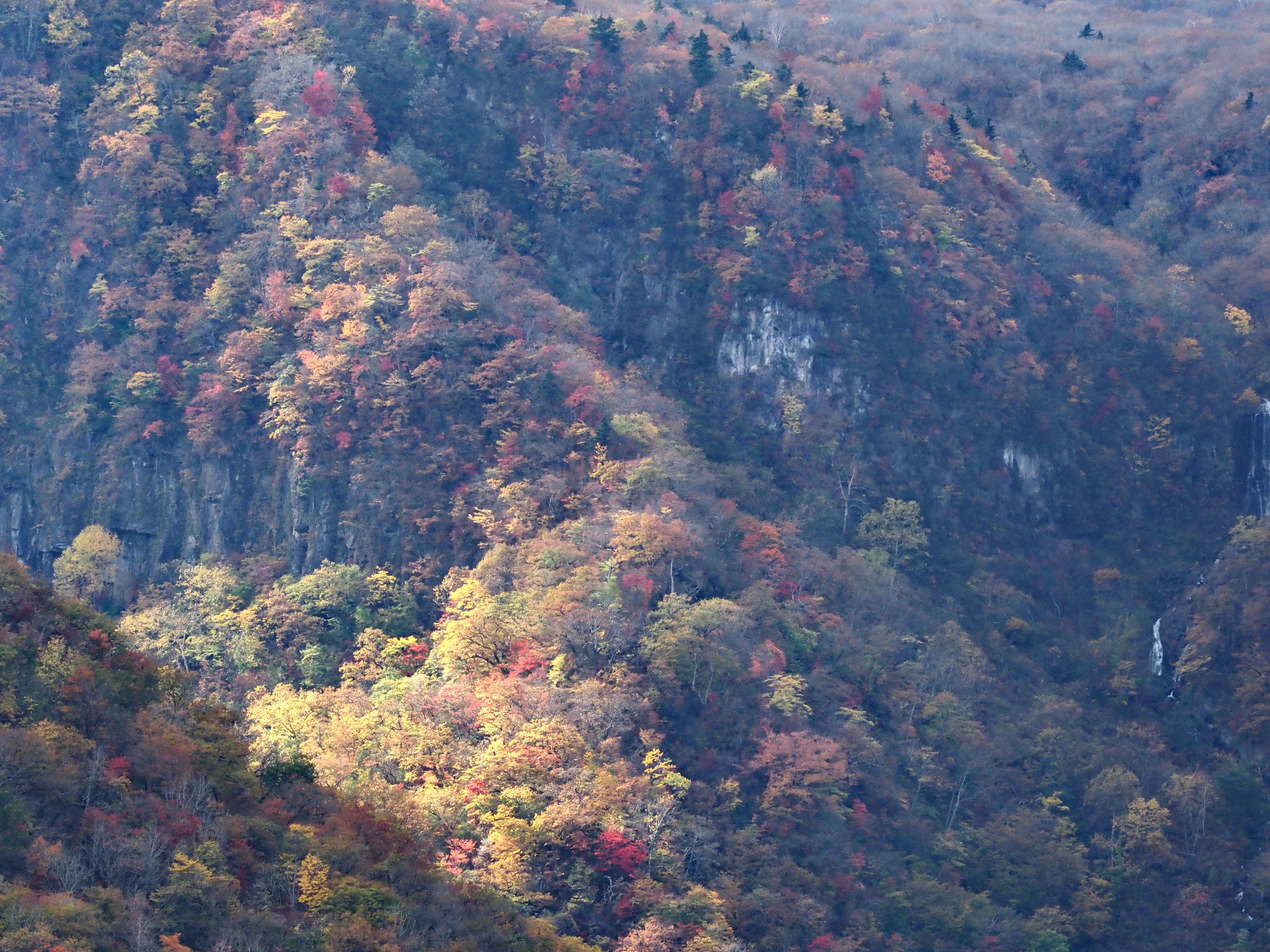 ひとときの日差し