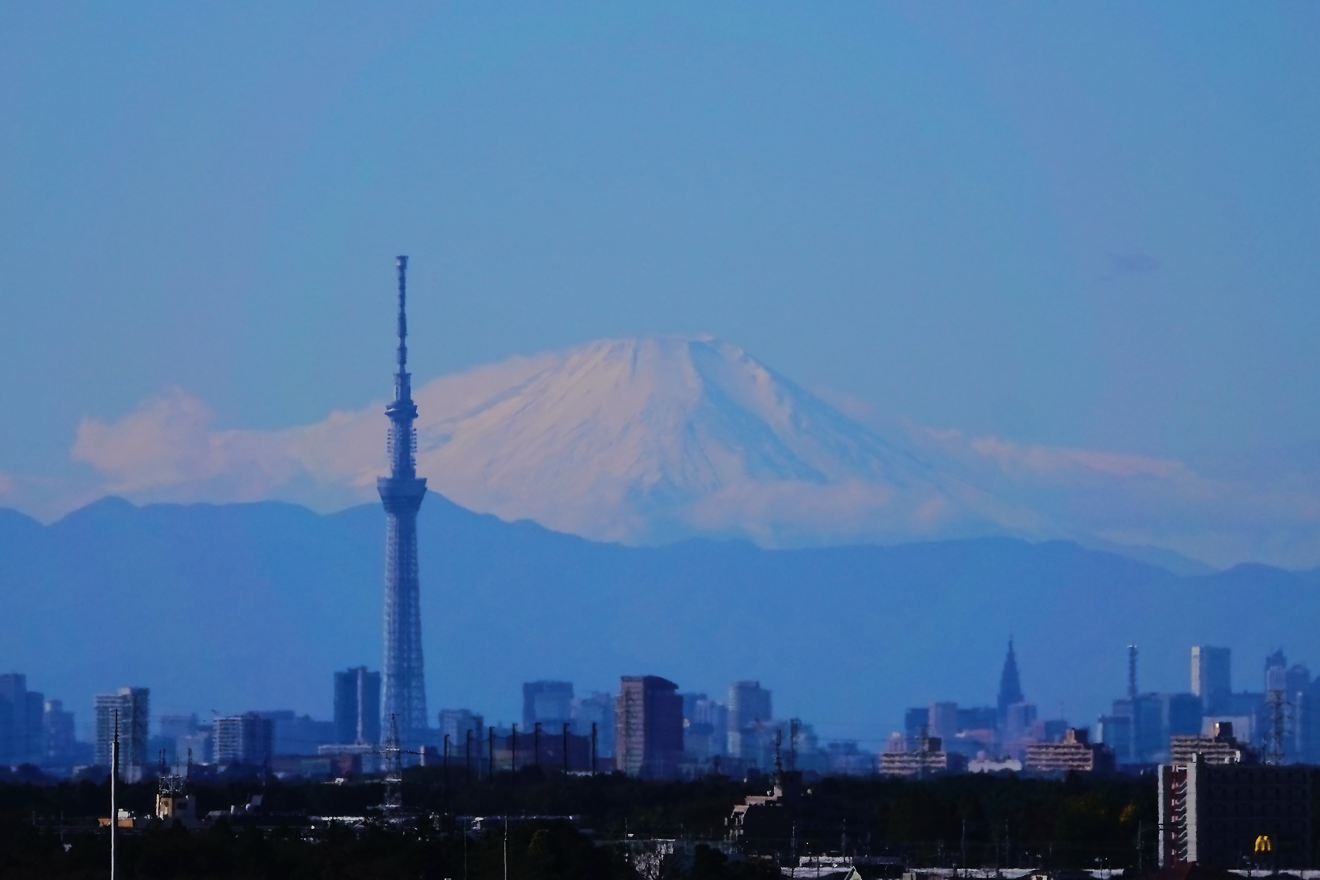 雪に覆われた富士山