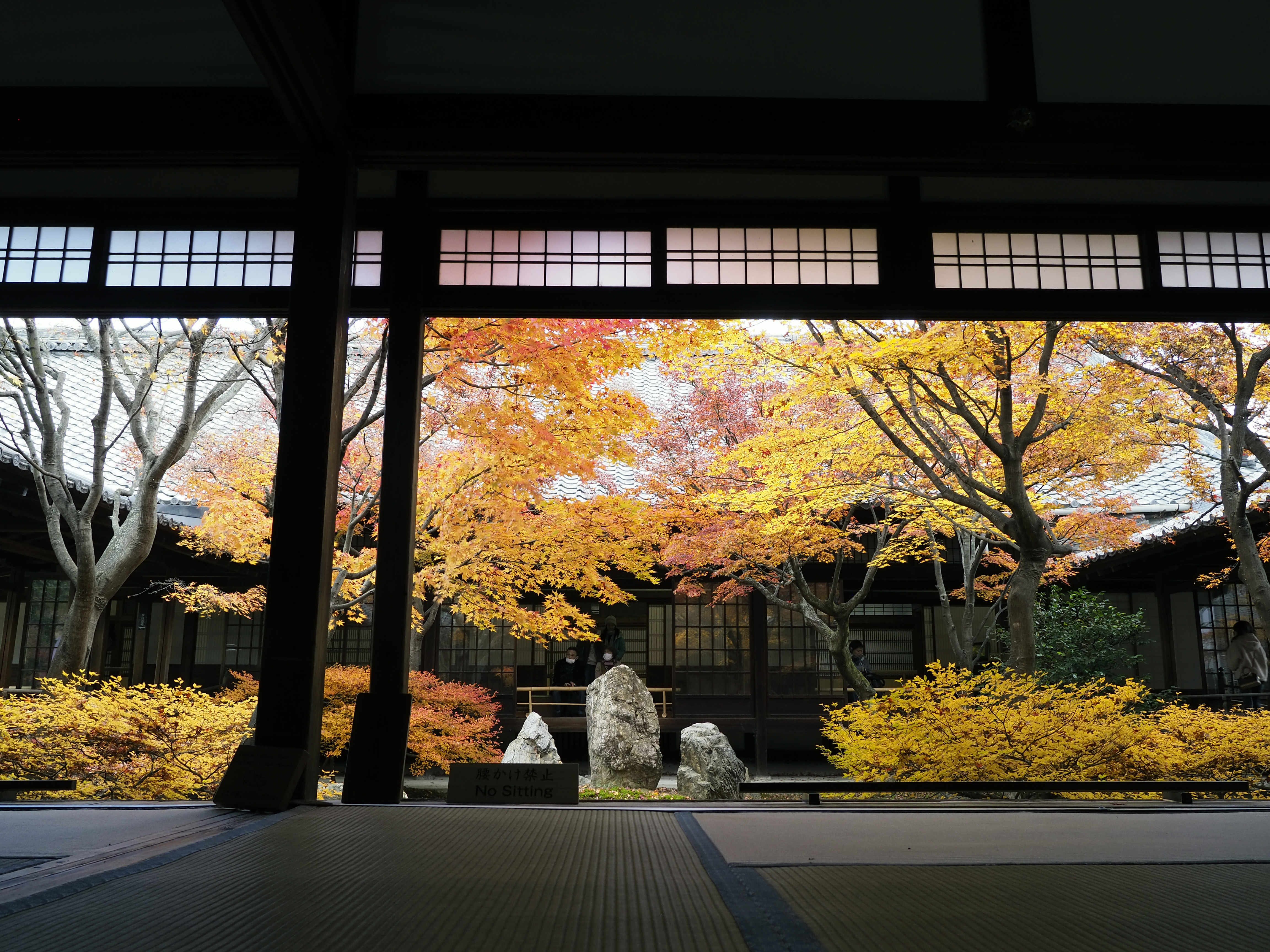 冬至過ぎの紅葉。