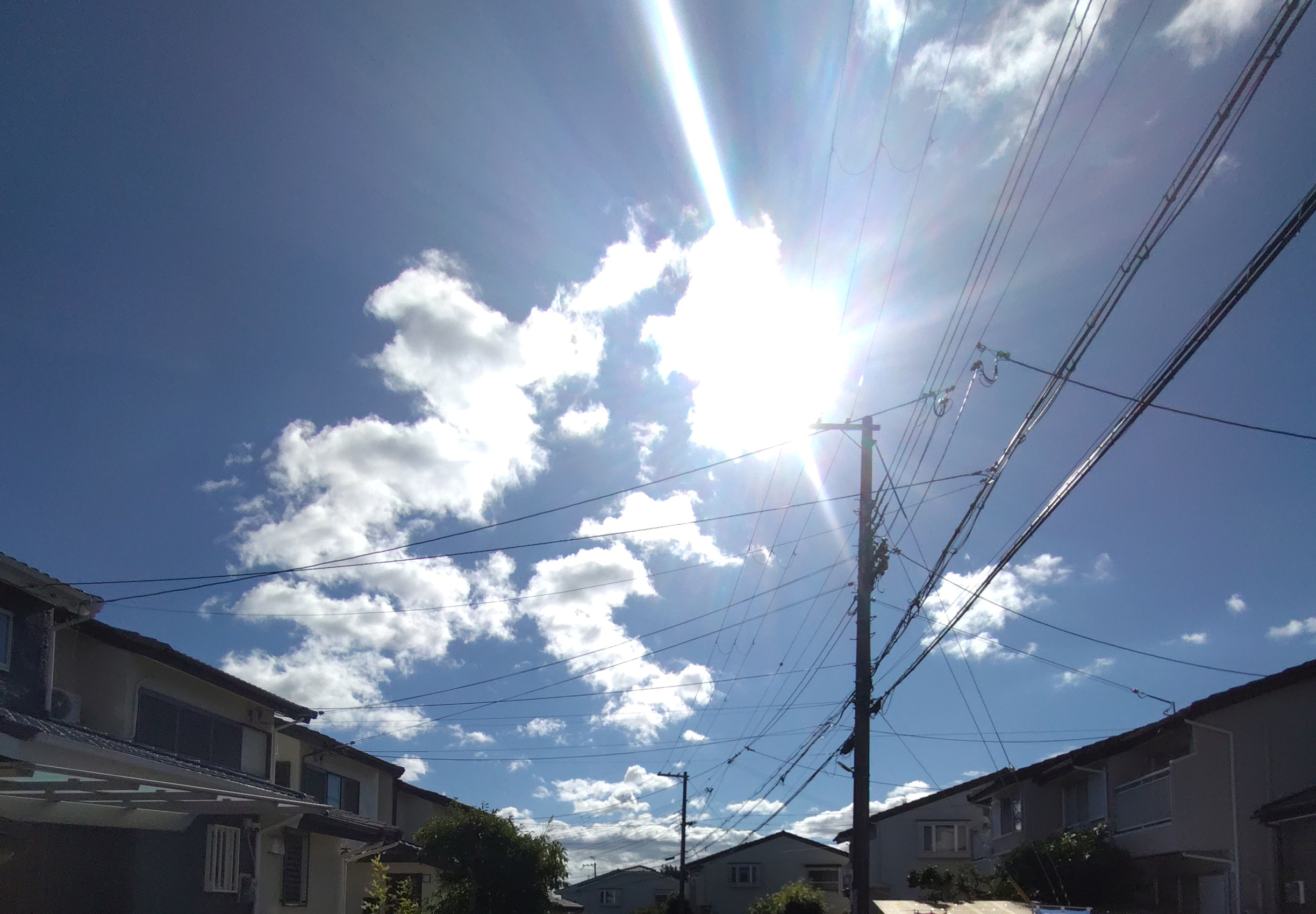 夏の名残り