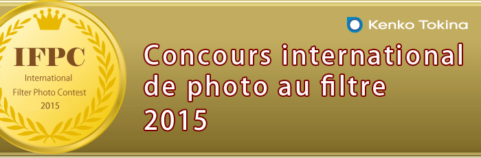 Concours international de photo au filtre 2012-2013
