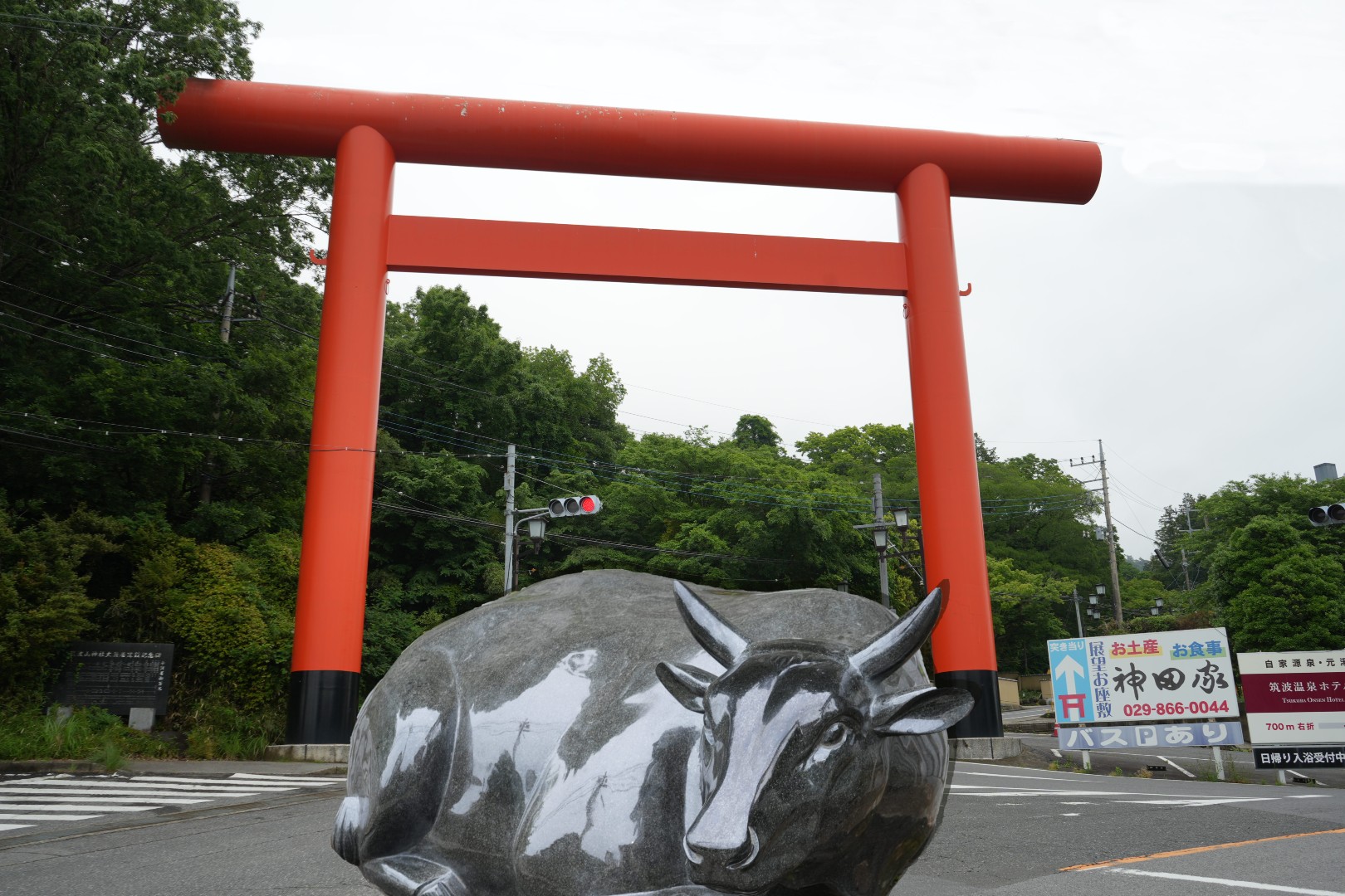 鳥居前・・・・鎮座する牛