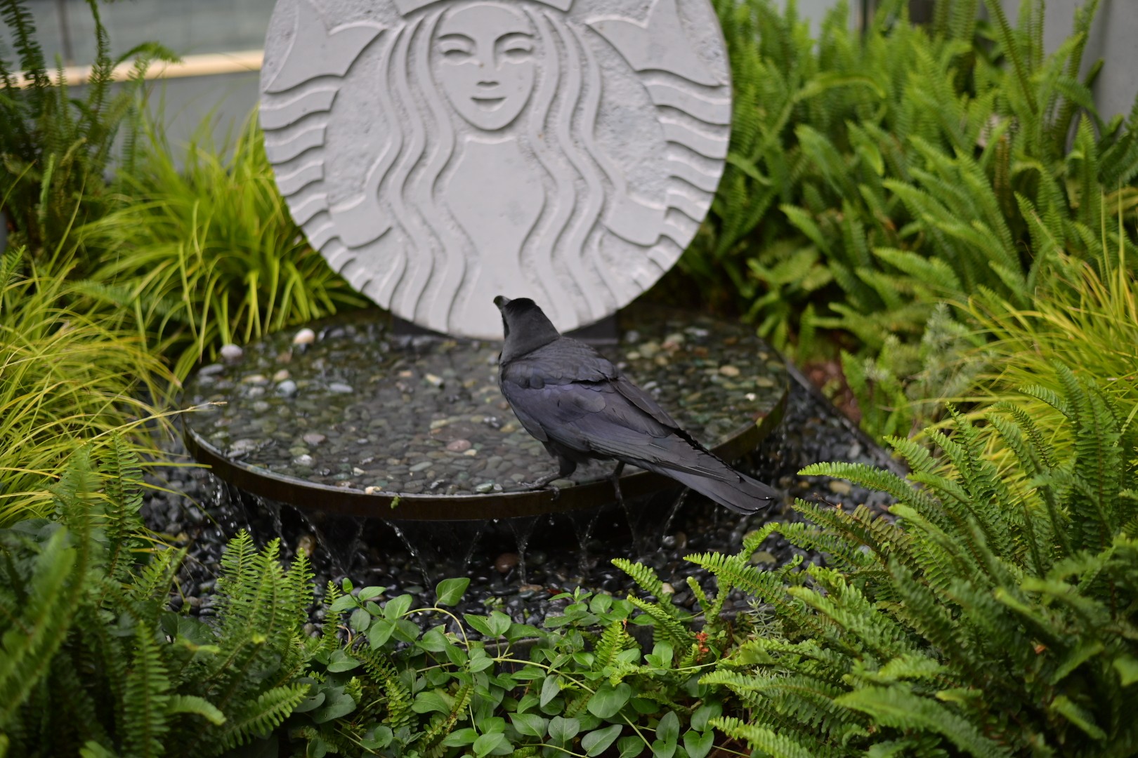 スタバでひと息入れますか?