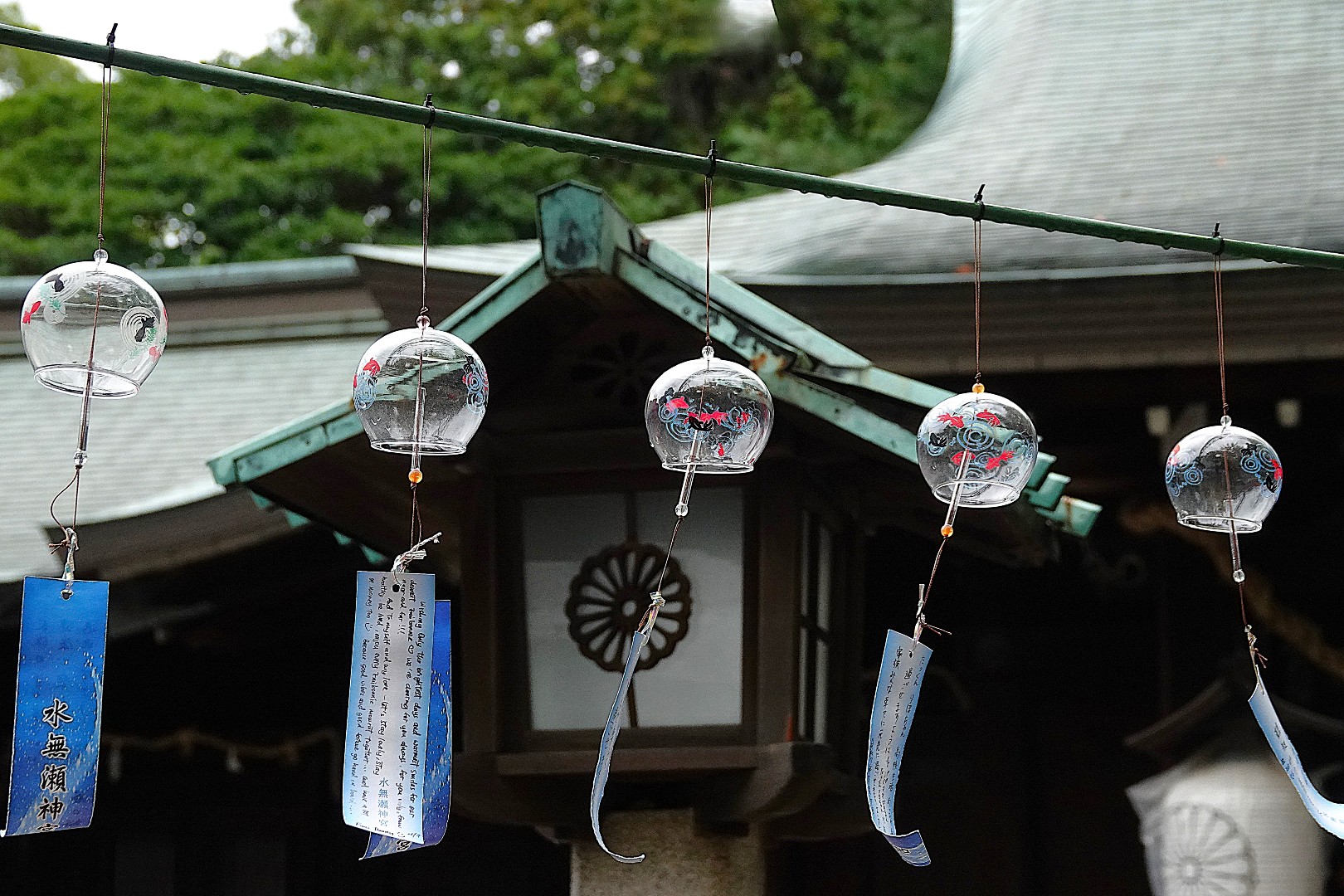 立秋は過ぎたけど~