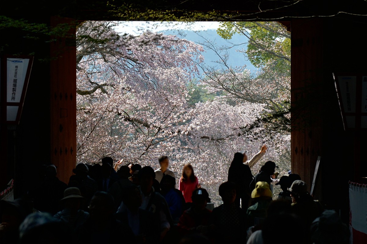 醍醐寺へようこそ