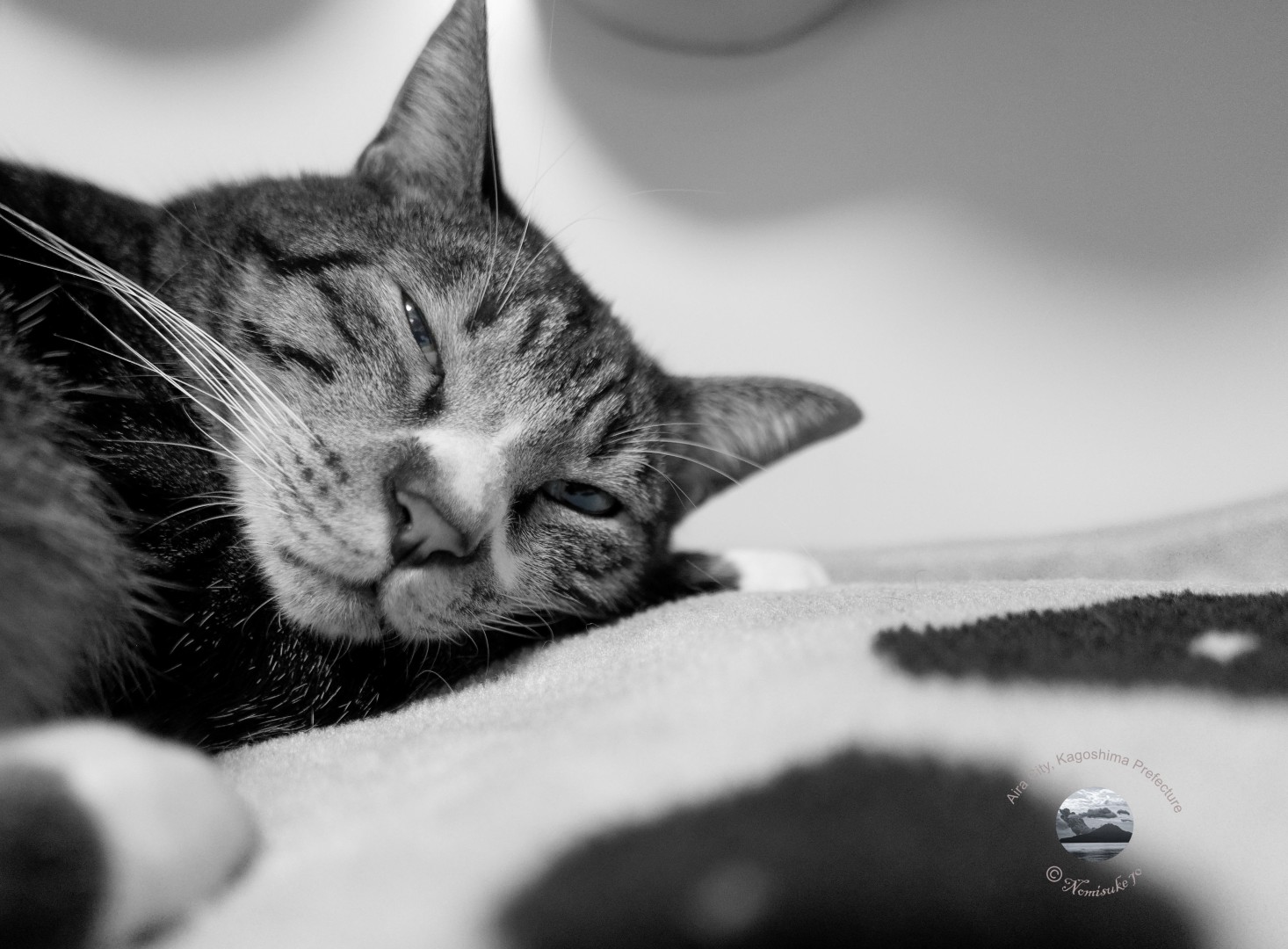 🙀 Sleepy_2 🙀