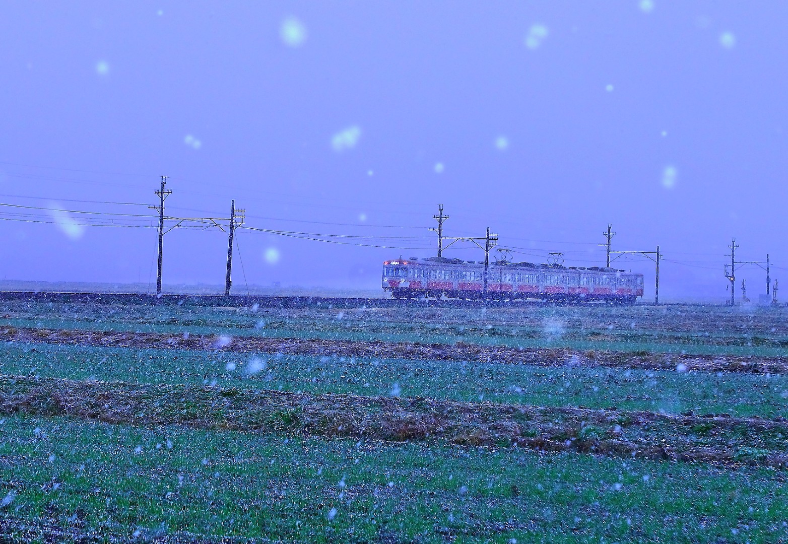 降雪を走る