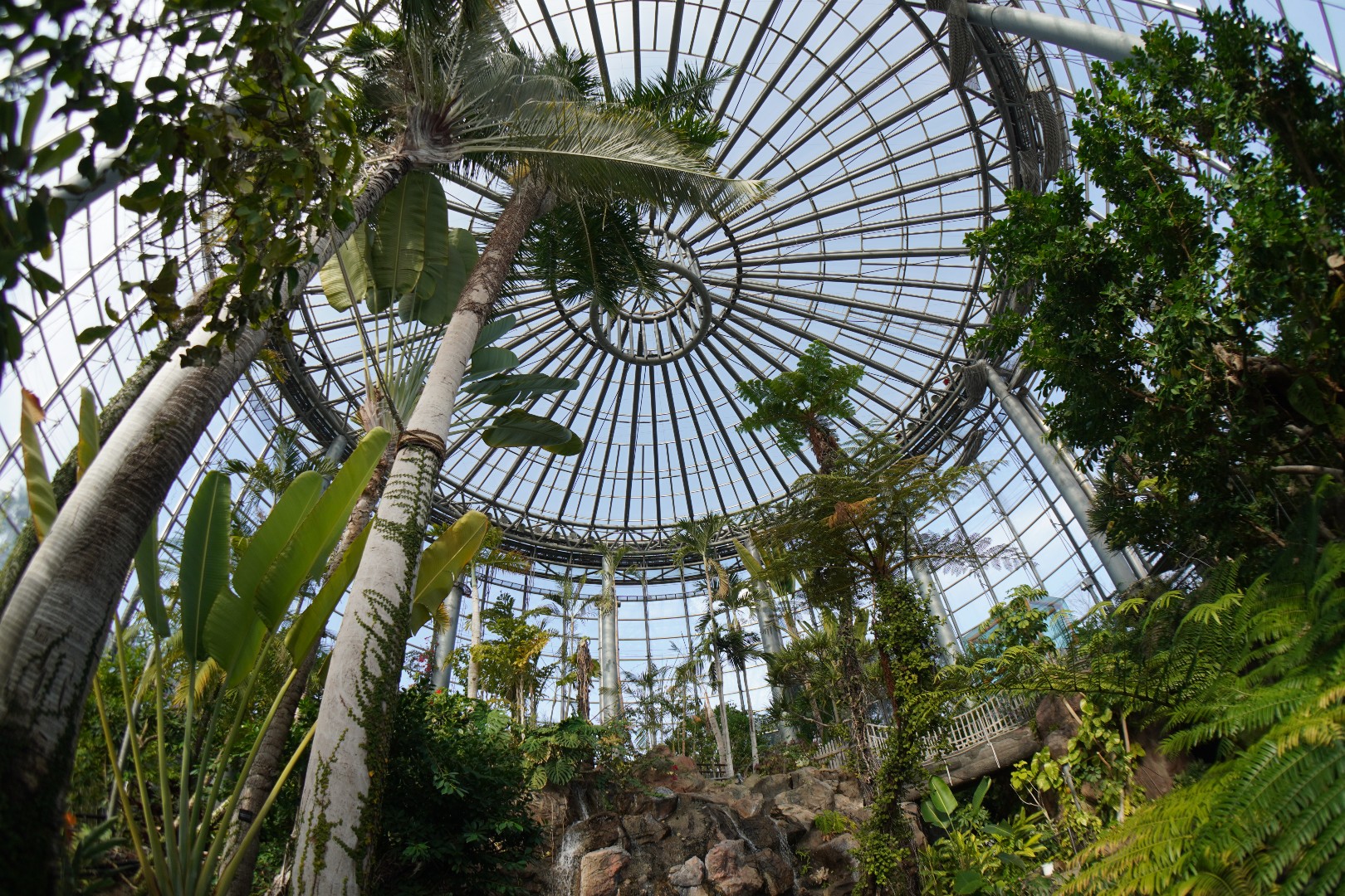 花の美術館(千葉・稲毛)