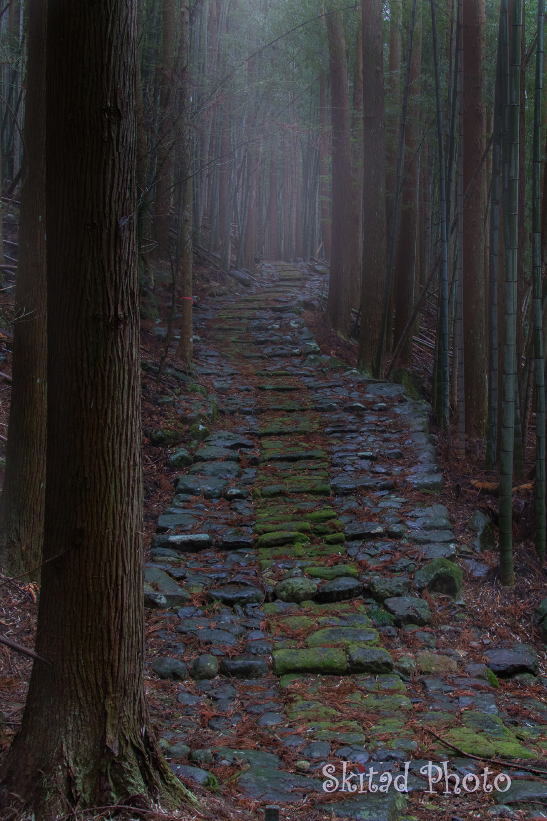 雨の石畳道