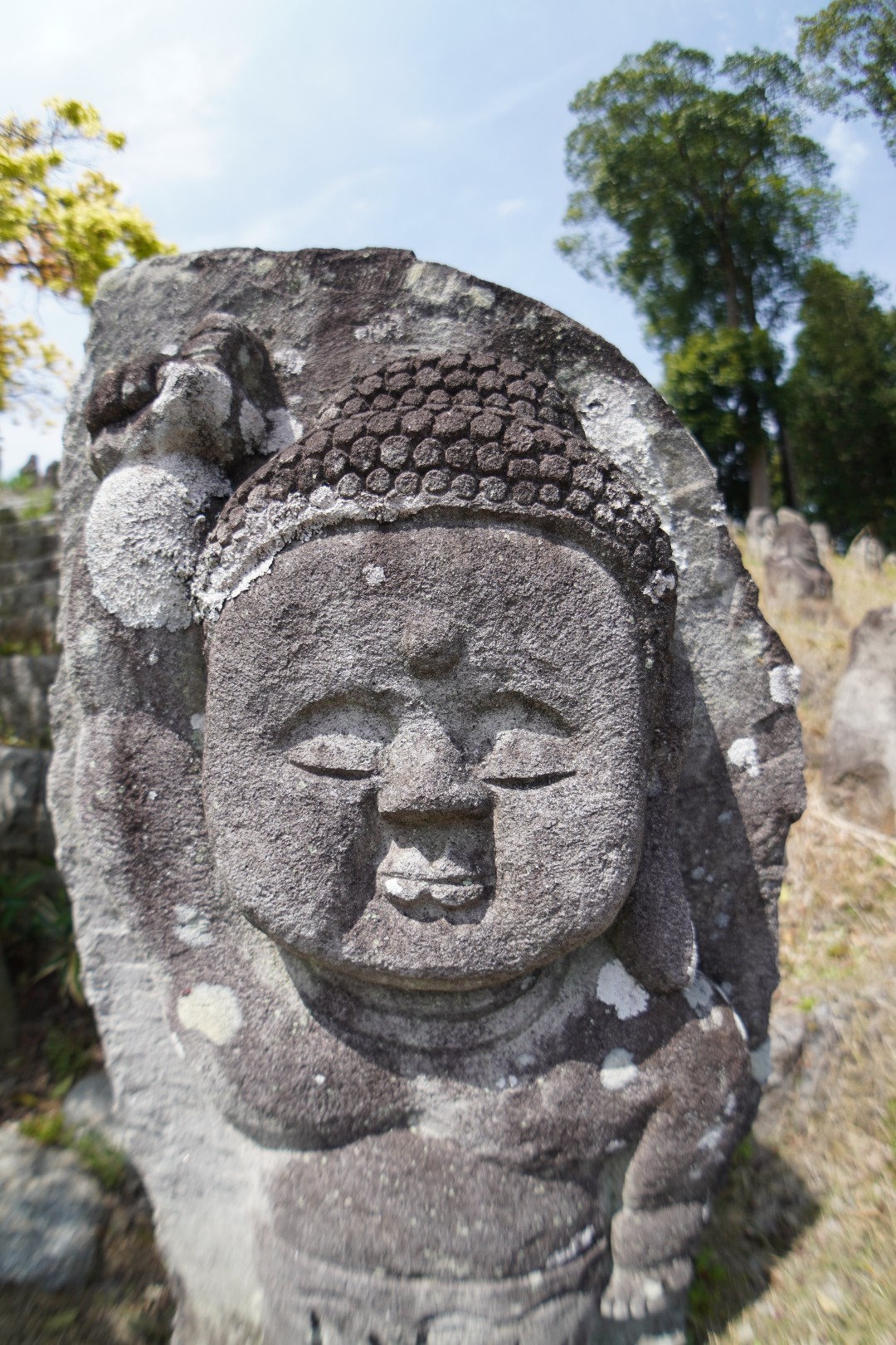 羅かん君