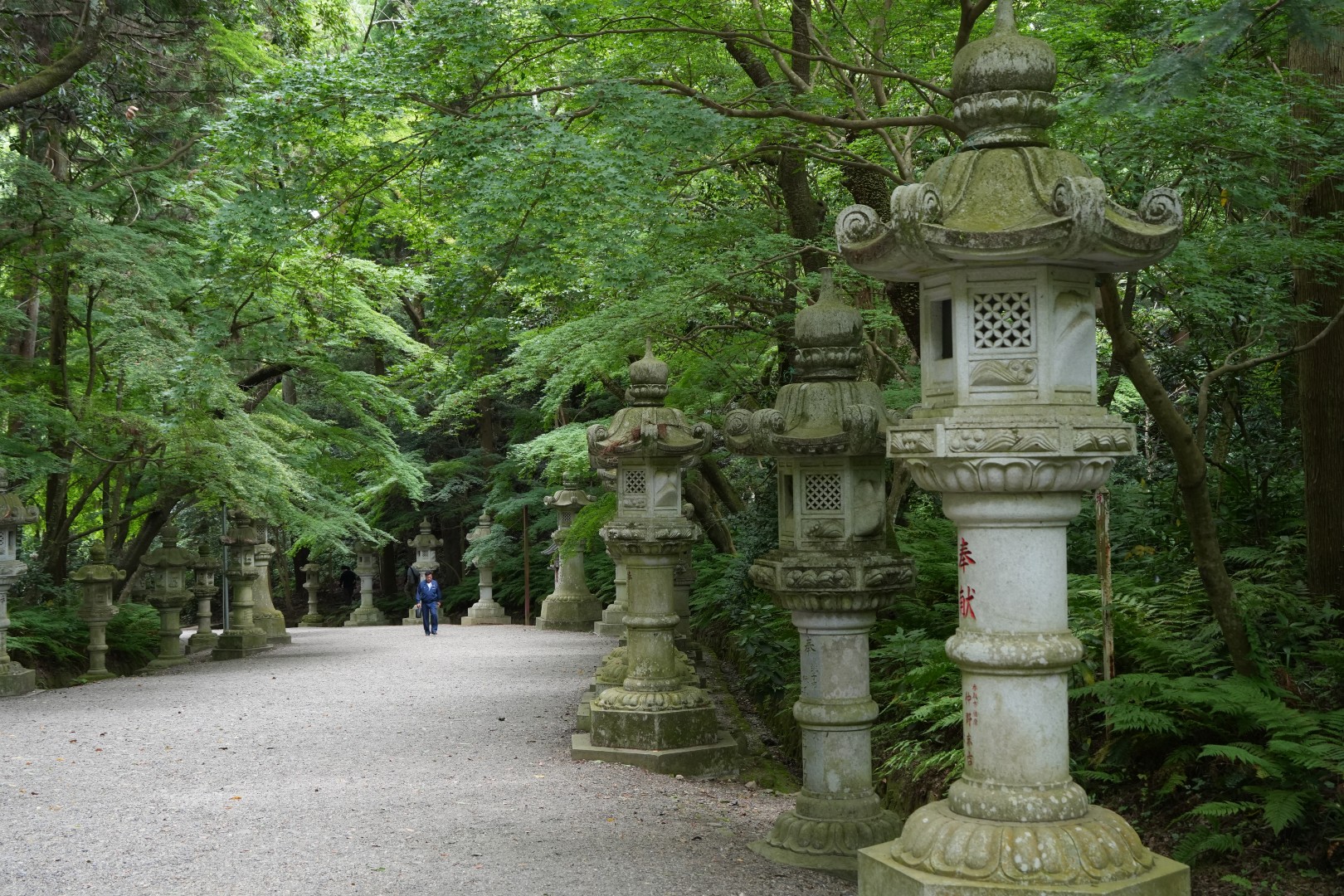 新緑の中・・・・・