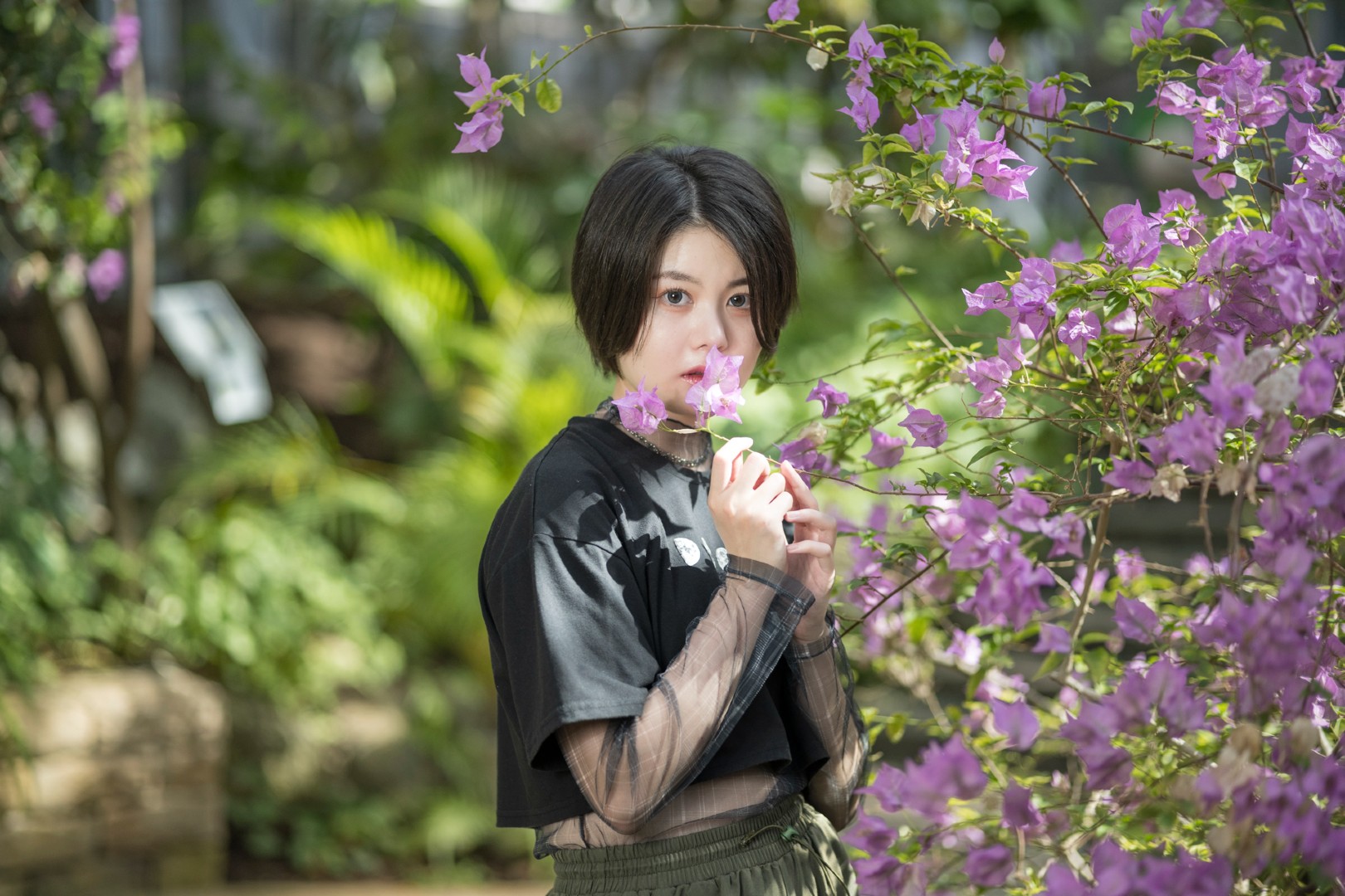 花影