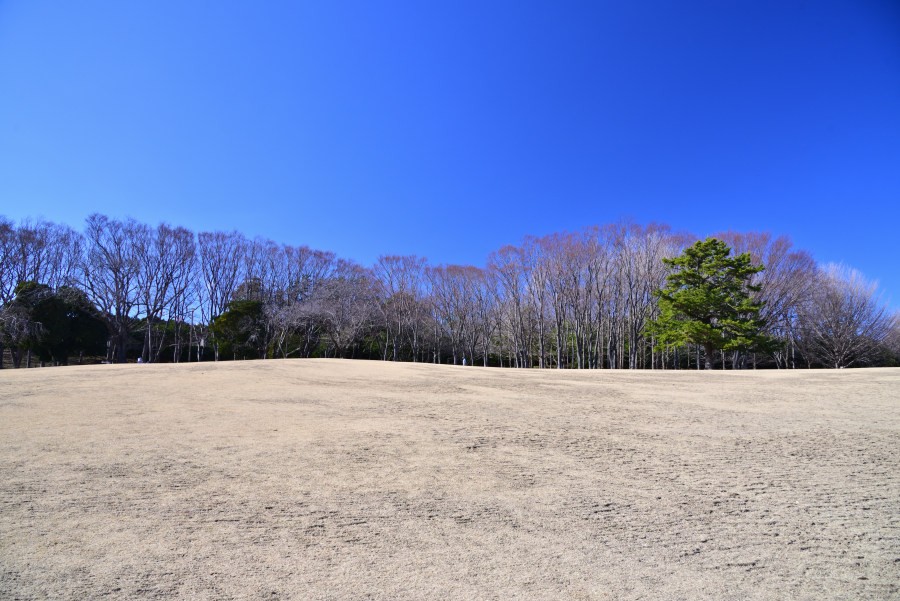根岸森林公園