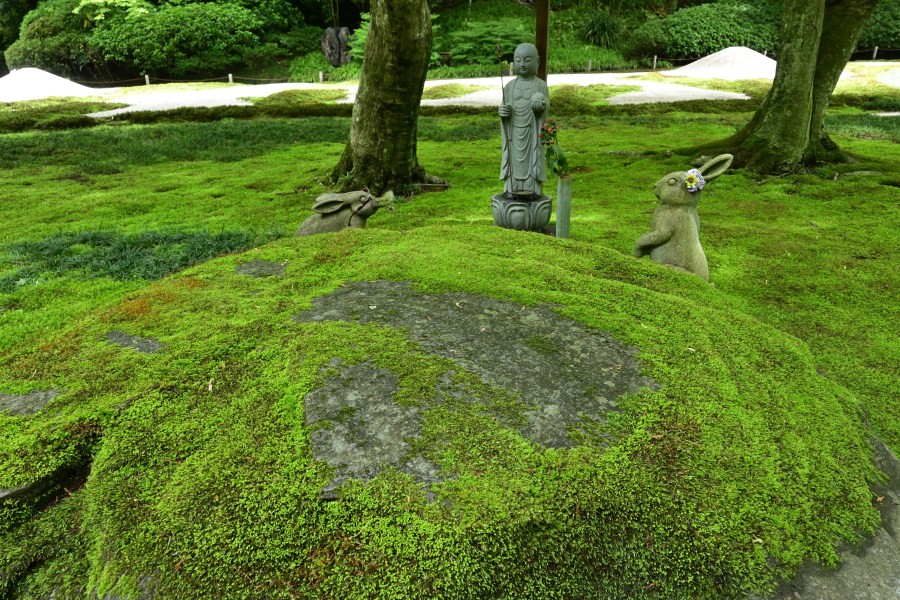 鎌倉 明月院にて