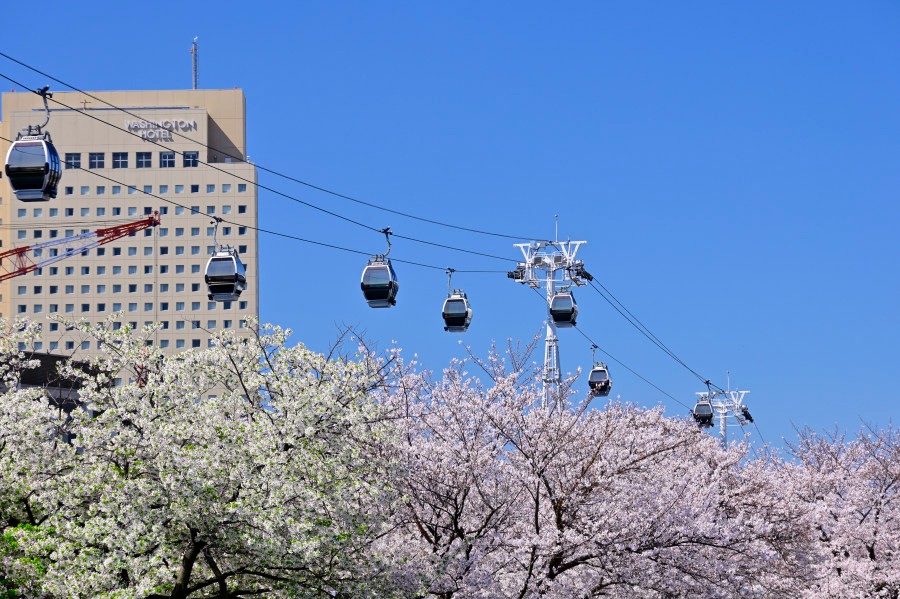 エアキャビンと桜