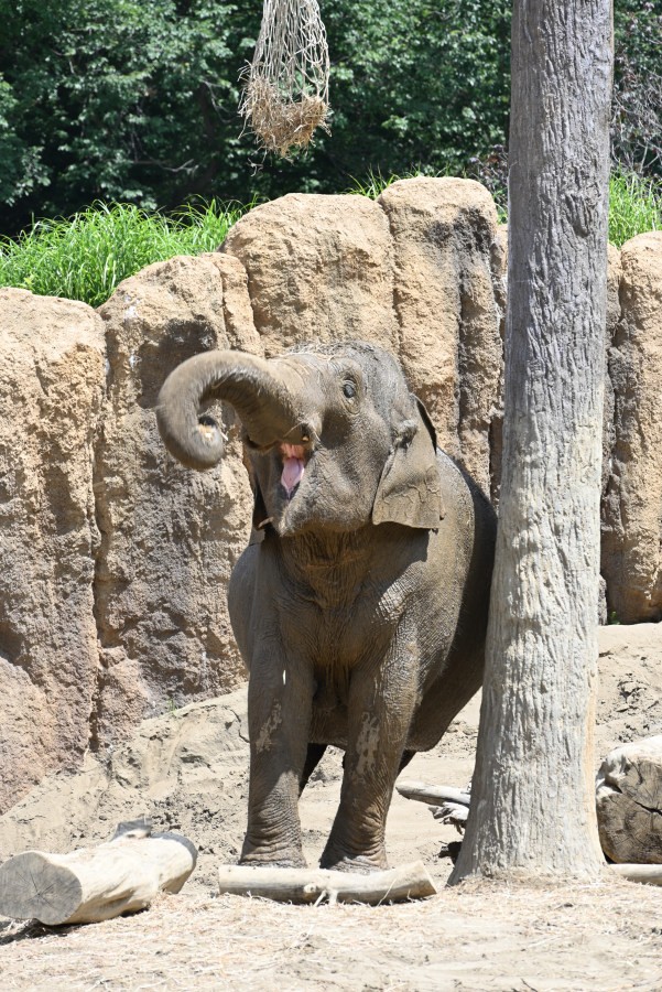 円山動物園にて