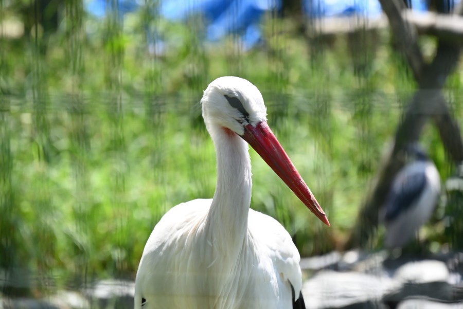 円山動物園にて