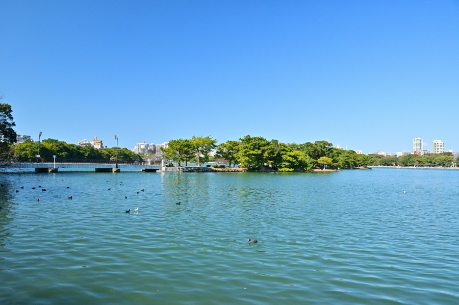 大濠公園にて